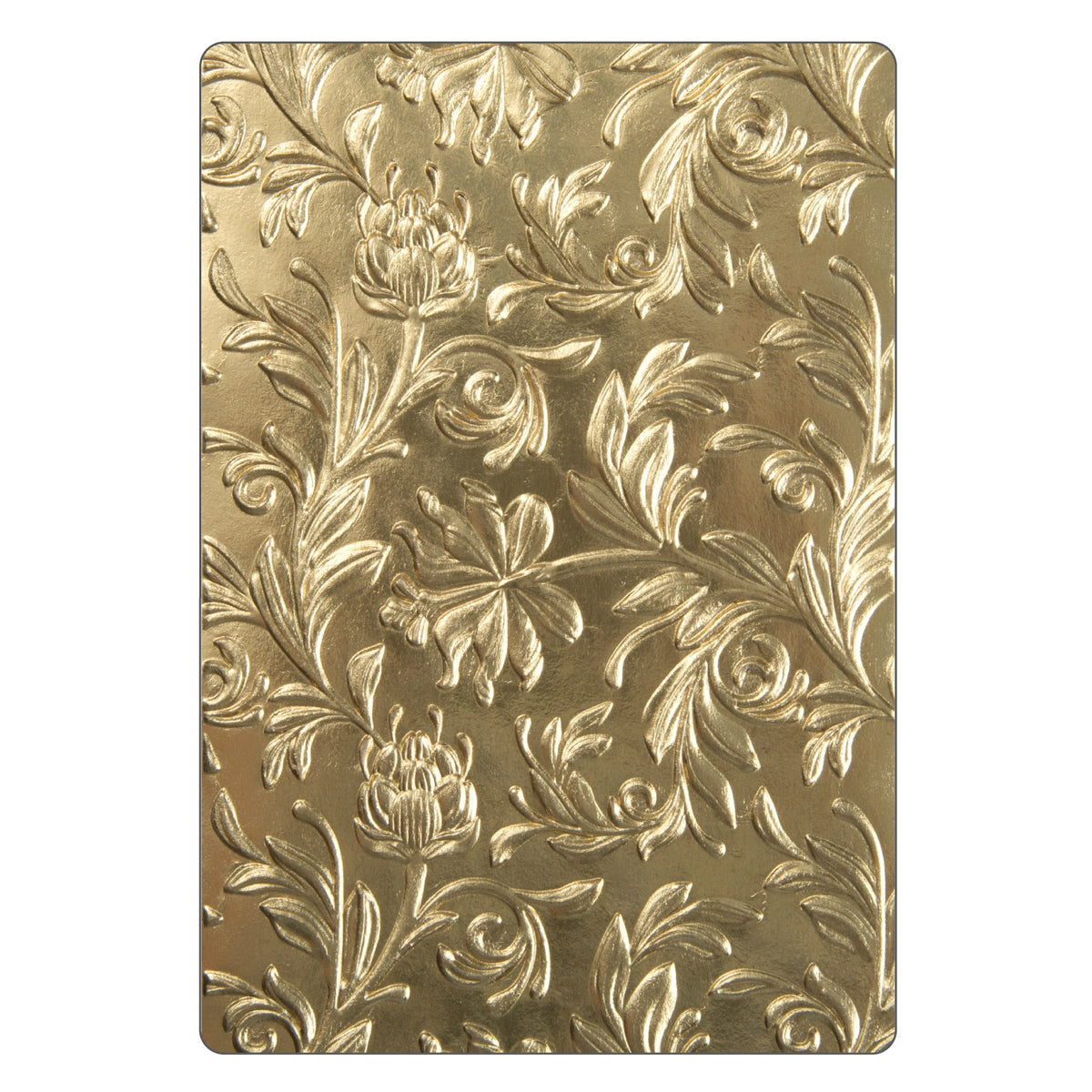 Sizzix 3-D Texture Fades Embossing Folder - Botanical by Tim Holtz